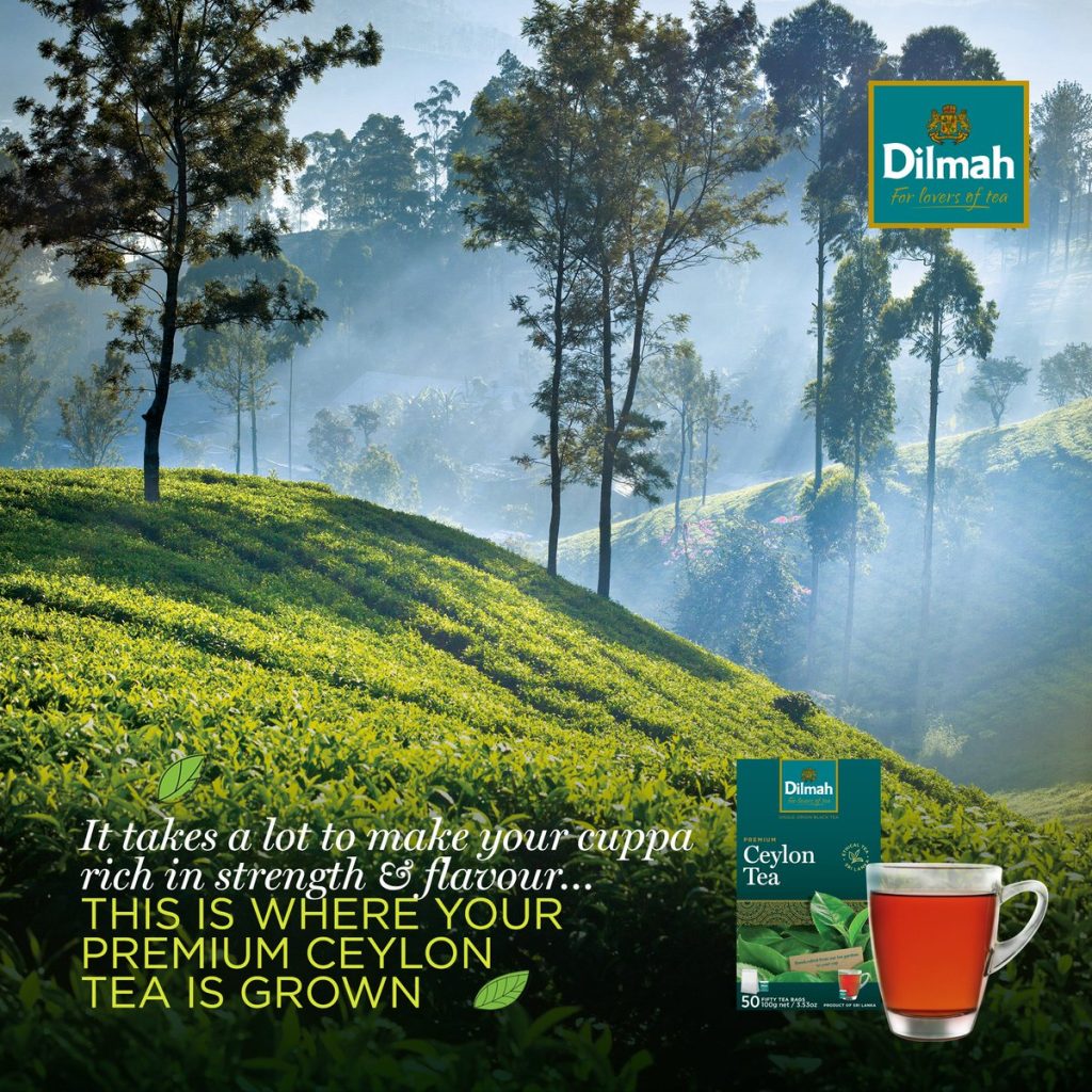 about dilmah